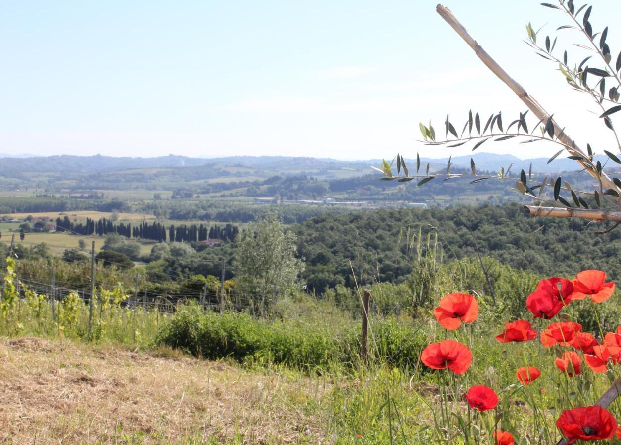Tuscany Life Terricciola Ngoại thất bức ảnh